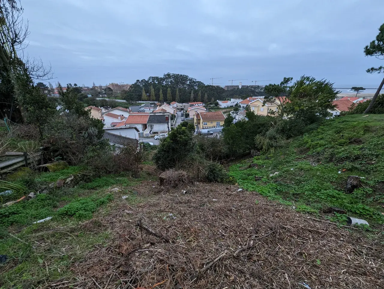 Vista real do Picão — Picão, Canidelo
